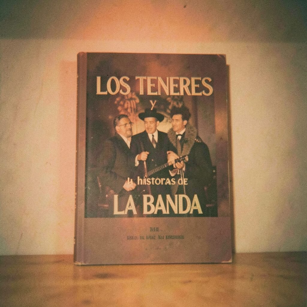 Cubierta de libro en tonos sepia y dorados sobre fondo neutro, fotografía analógica con grano visible.